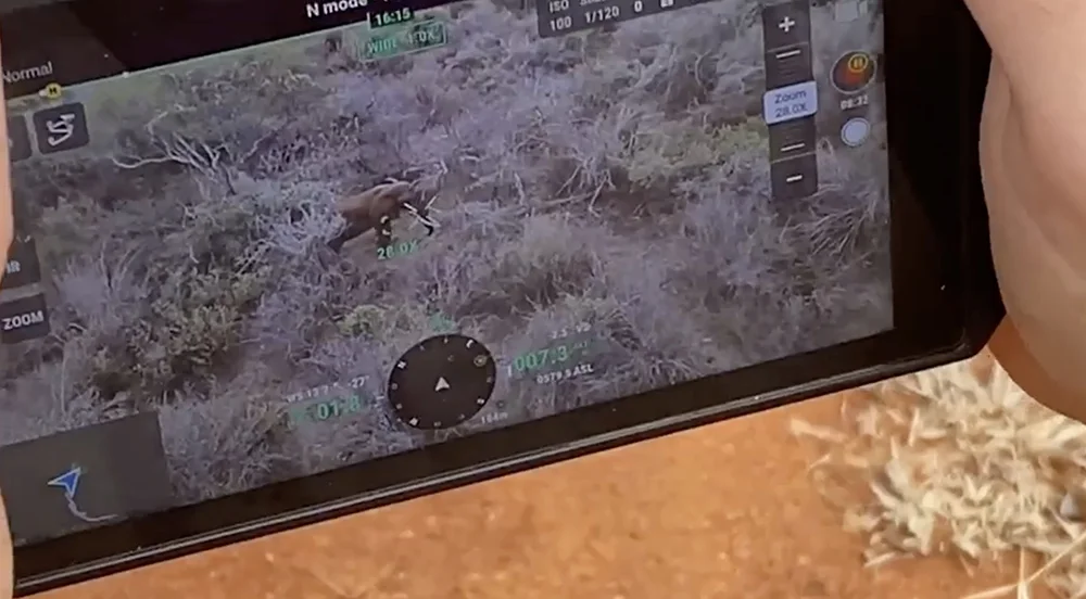 Drone Technology Enables Historic Elephant Relocation in Tanzania