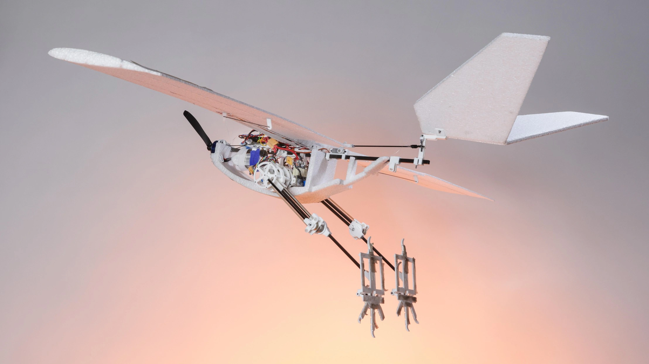 EPFL Builds Bird-Like Drone That Walks, Hops, and Flies