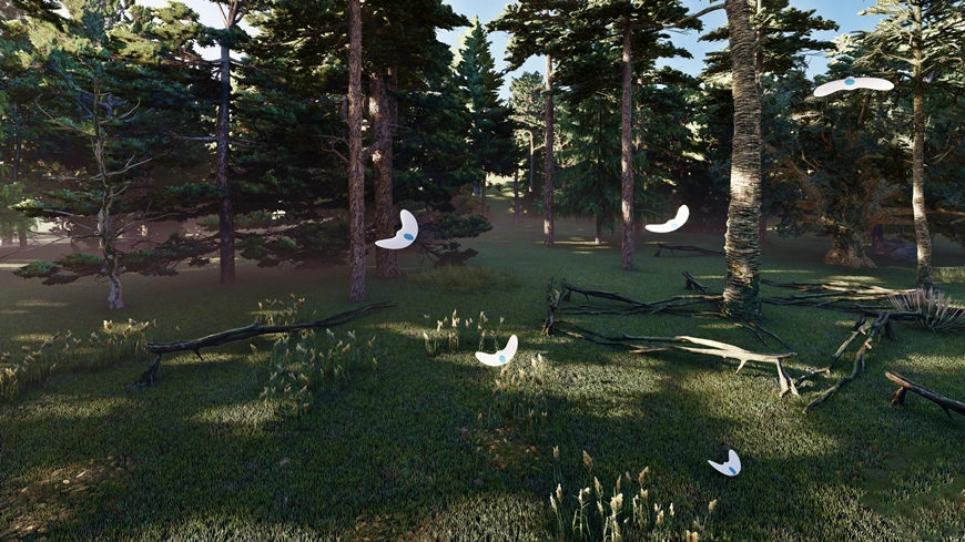 Bio-Gliders Inspired by Java Cucumber's Seed Dispersal