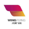 Wing Flying