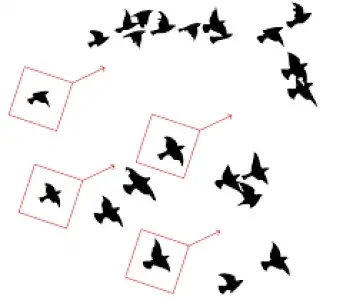 BCMS Ventur Drone and Bird Detection System