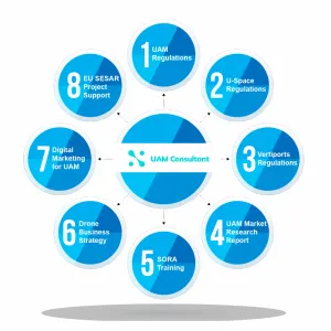 Regulatory Compliance & Flight Authorisation